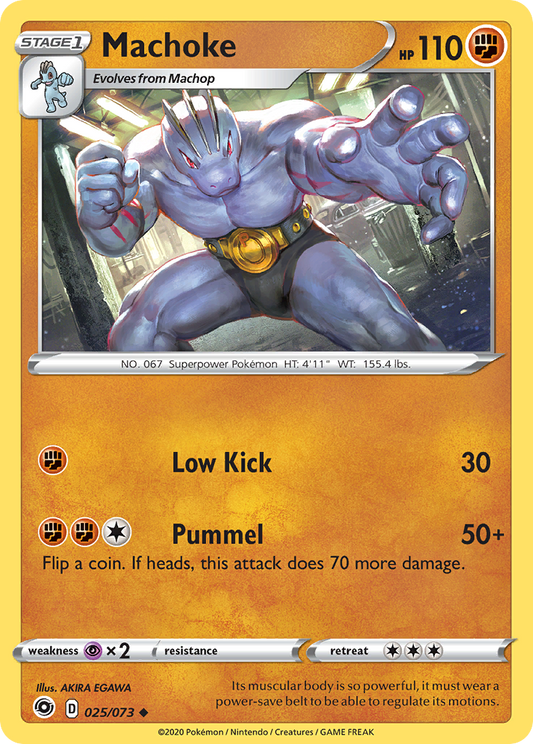 025/73 Machoke