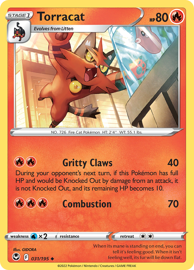 031/195 Torracat